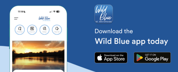 Wild Blue App.png